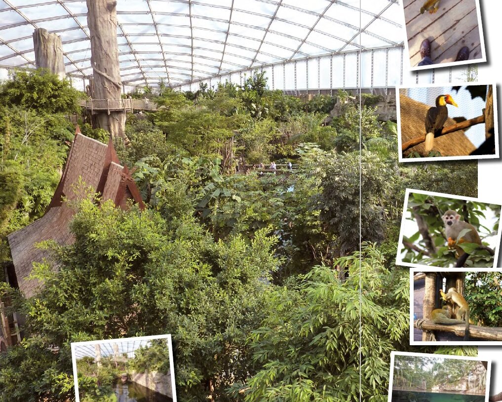 Gondwana Land at Leipzig Zoo in the Primion reference report for time recording and access control systems..